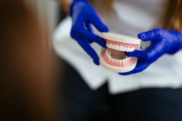 Trusted Holiday, FL  Holistic Dental Services Experts
